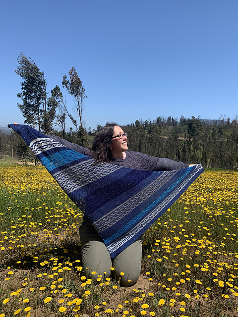 Winter Night Shawl