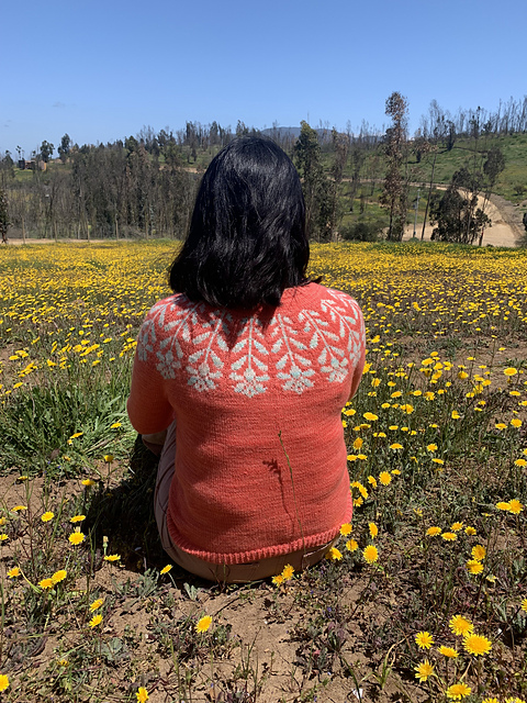 Orquídea sweater