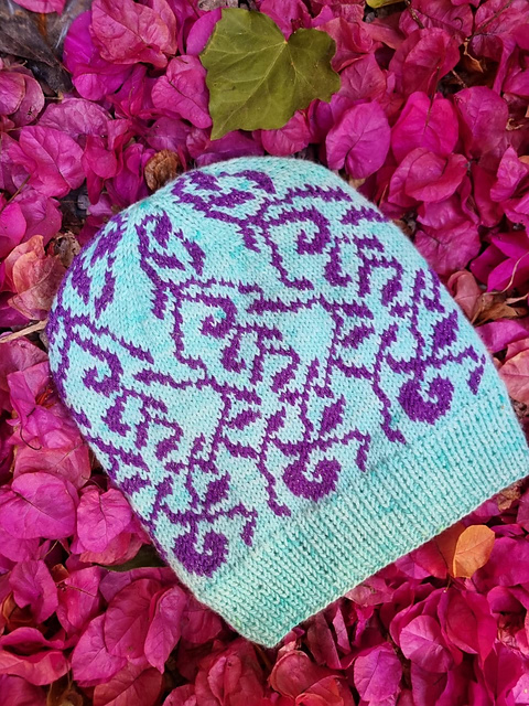 Enredadera hat