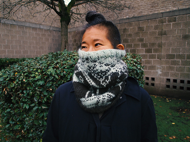 Cellular Automata Cowl