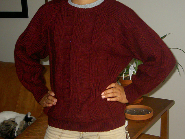 Pull Homme 82.76