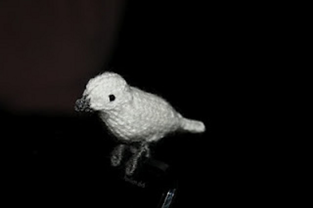 Nieuwsgierig vogeltje