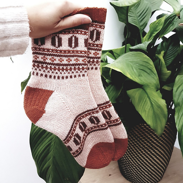 Coffee Bean Socks