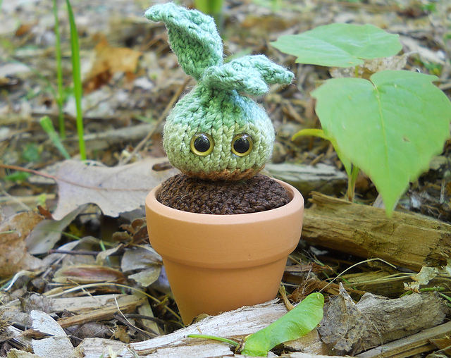 Sprout