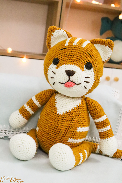 Cute cat