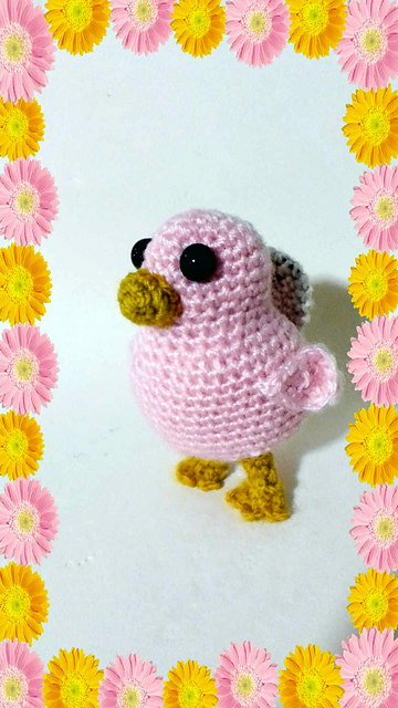 Bird amigurumi