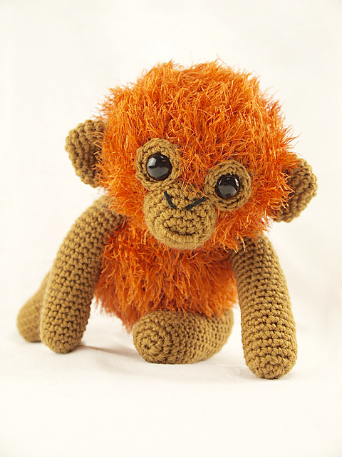 Helio the Baby Orangutan