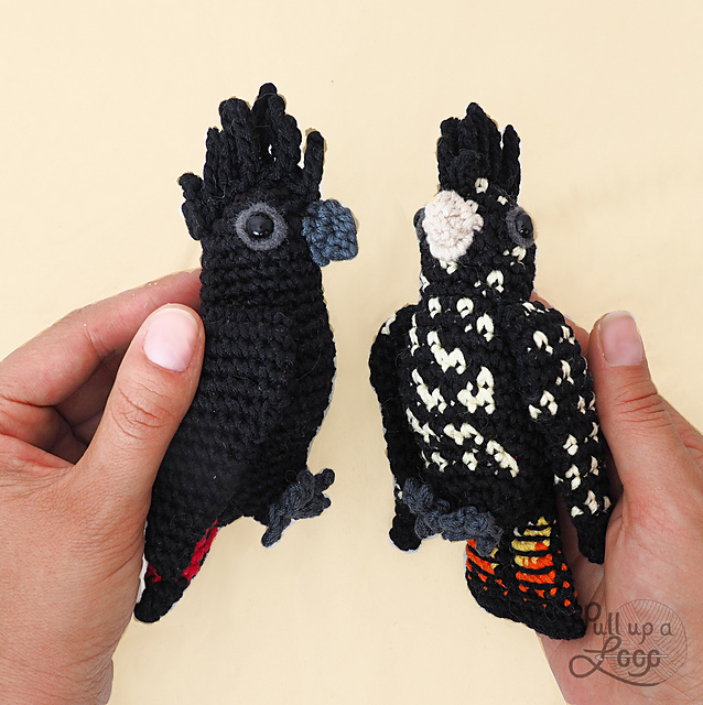 Red Tailed Black Cockatoo