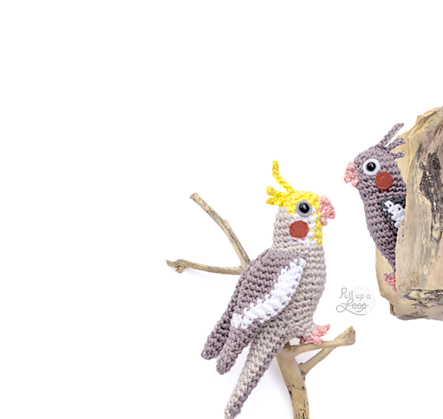 Cockatiel
