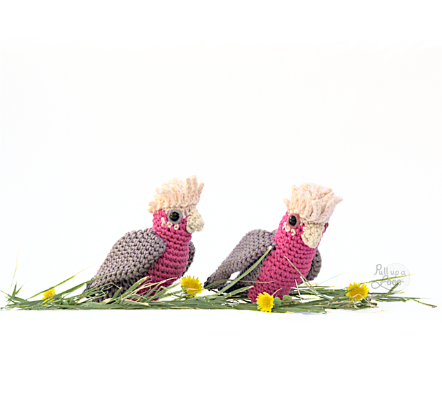 Galah