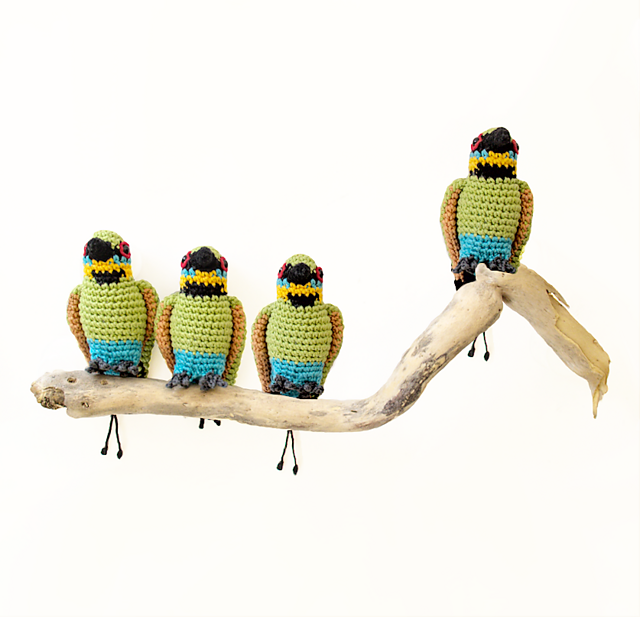 Rainbow Bee eater