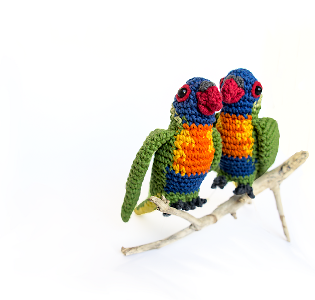Rainbow Lorikeet