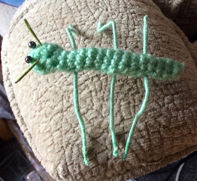 Nick the Stick (Insect)