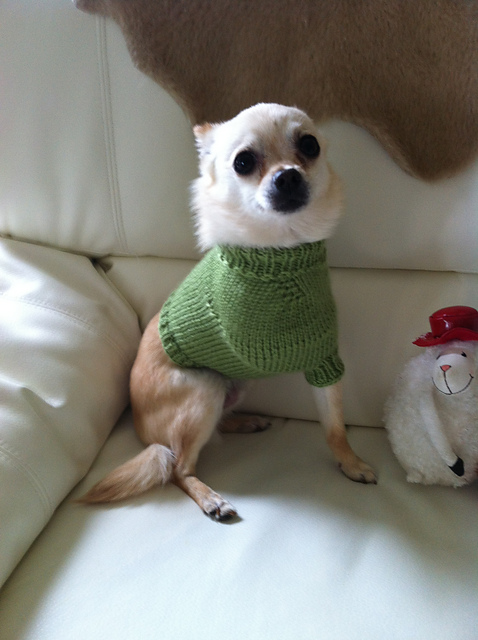 Tri-Pawd Dog Sweater