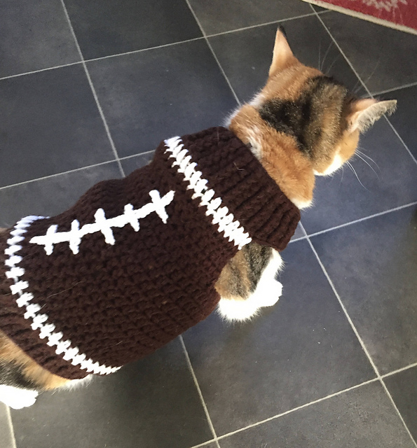 Cat Football Sweater