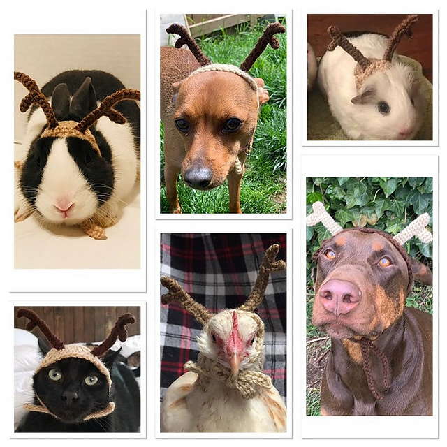 Pet Antlers Hat