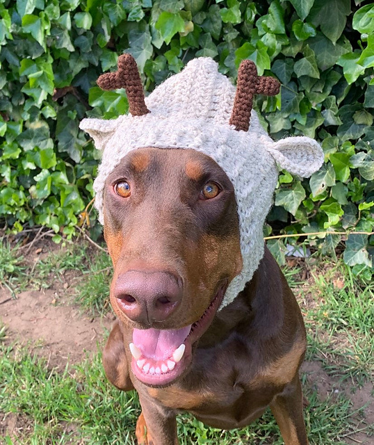 Crochet Pattern Greyhound Reindeer Hat Dog Antler Snood
