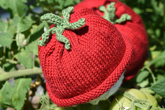 Baby Tomato Hat