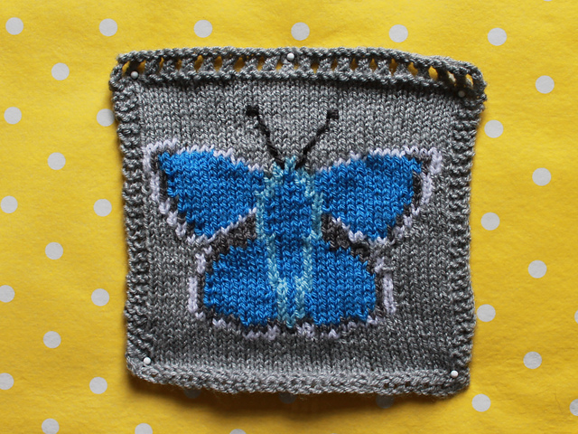 Common Blue Butterfly Intarsia