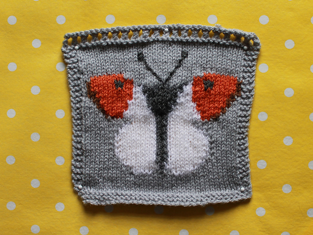 Orange Tip Butterfly Intarsia