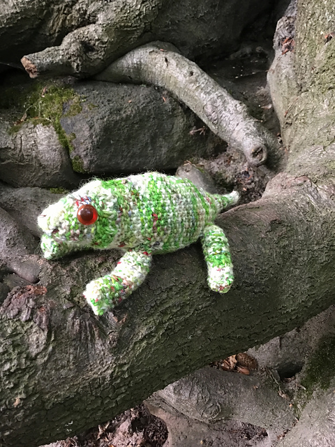 Chameleon toy
