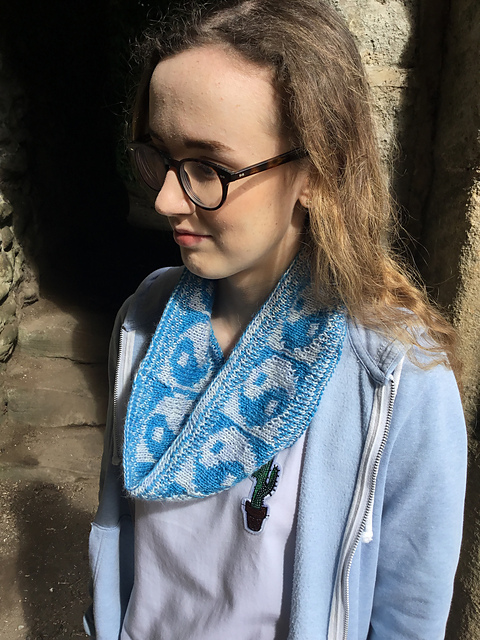Yin Yang reversible cowl