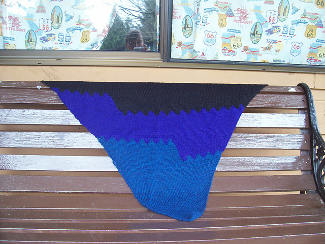 Steller's Jay Shawl