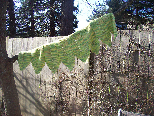 Banana Leaf Capelet