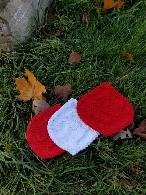 Poppies Grow