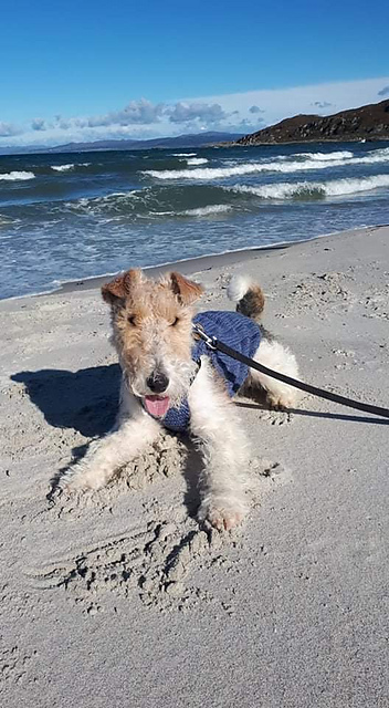 Dougie