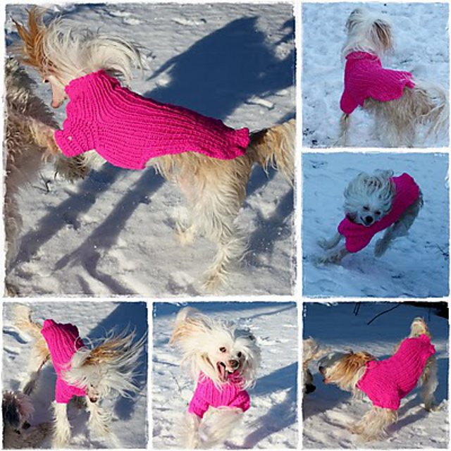 Hundegenser
