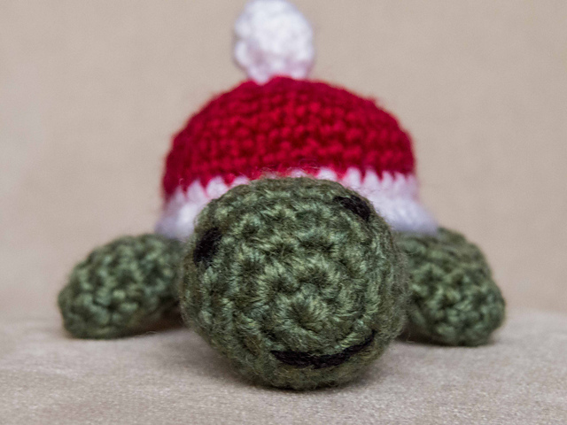 Weihnachtsschildkröte