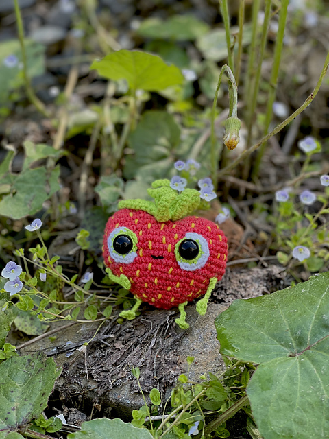 Ravelry: Barry the Strawberry pattern by Daryna Demediuk