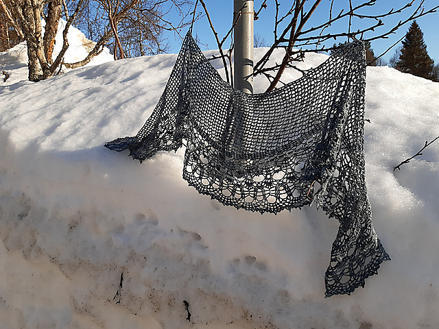 Snow Flower Lace