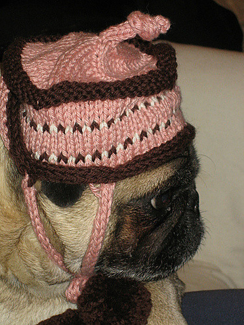 Puppy Fez
