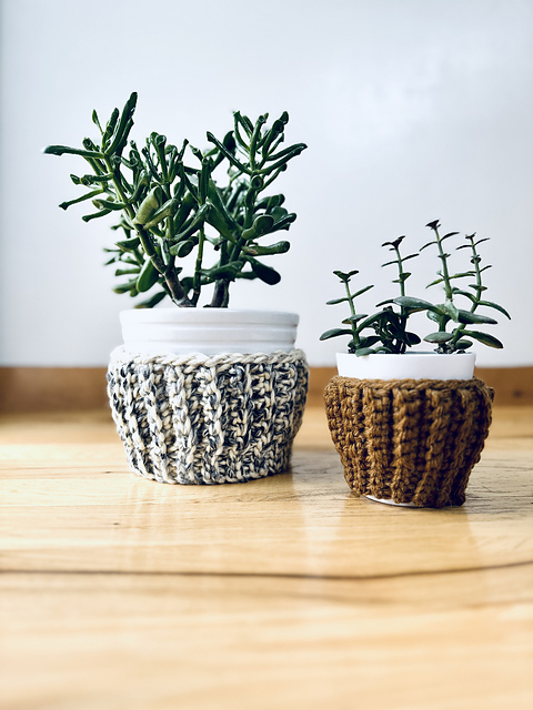 Plant Cozy