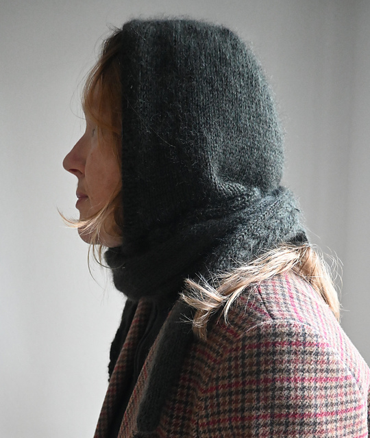 Zadig (hood)