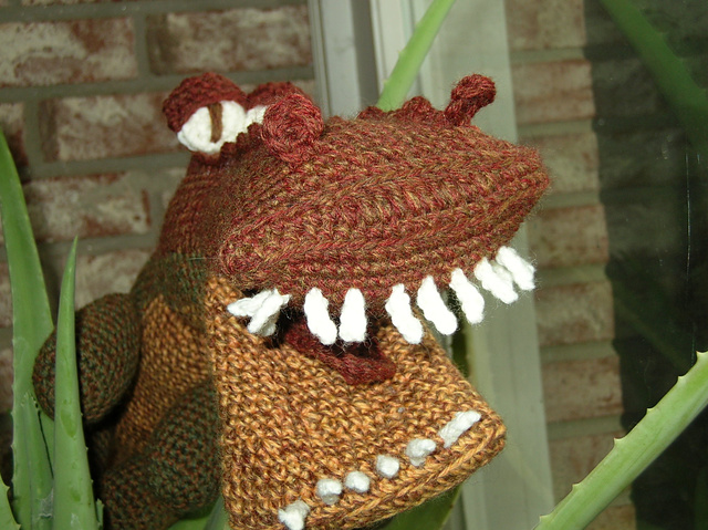 Backyard Alligator