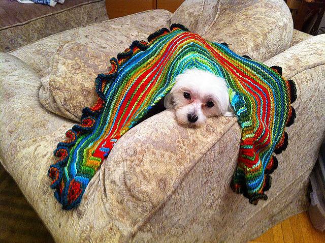 Ruffle Shawl with a dog and daughter
