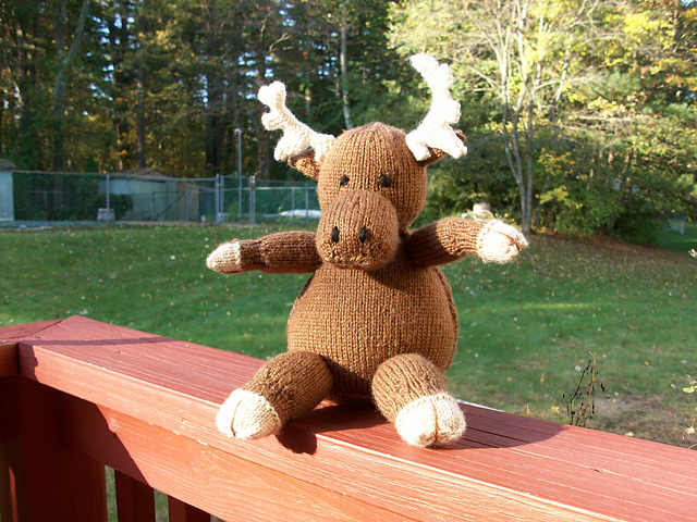 Moose