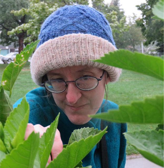 Woodland Hat