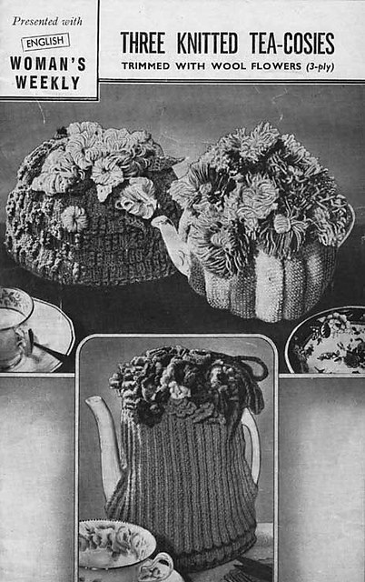 The Aster Cosy