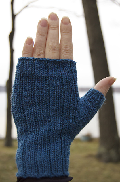 Michigan Mitts
