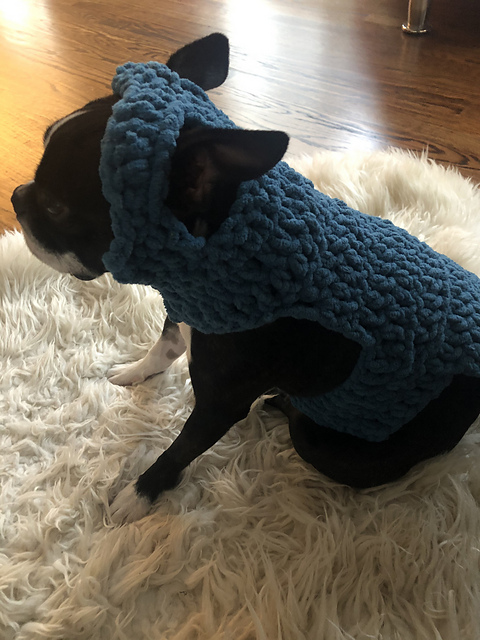 Small Dog Sweater