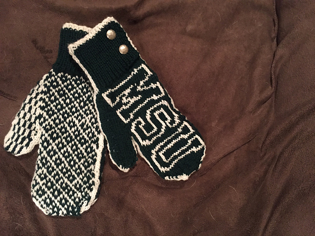 Michigan State Mitten Kit
