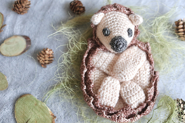 Hedgehog Ragdoll
