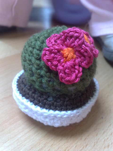 Mini Cactus