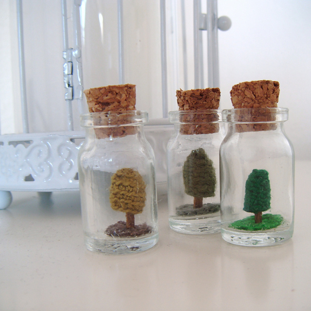 Tree in a bottle - Tiny terrarium