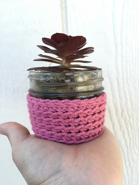 Succulent Mason Jar Cozy