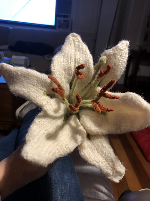 Oriental Lily